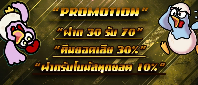 promotion zbet911